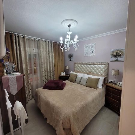Shared Accommodation A Room With A View Of The Garden إشبيلية المظهر الخارجي الصورة